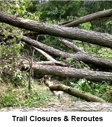fallen trees across a trail