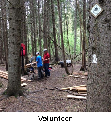 people with lumber building a bridge for trail